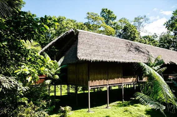 RAINFOREST EXPEDITION TAMBOPATA RESEARCH CENTER 2